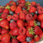 Мега корзина клубника голубика и малина фото 4